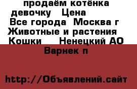 продаём котёнка девочку › Цена ­ 6 500 - Все города, Москва г. Животные и растения » Кошки   . Ненецкий АО,Варнек п.